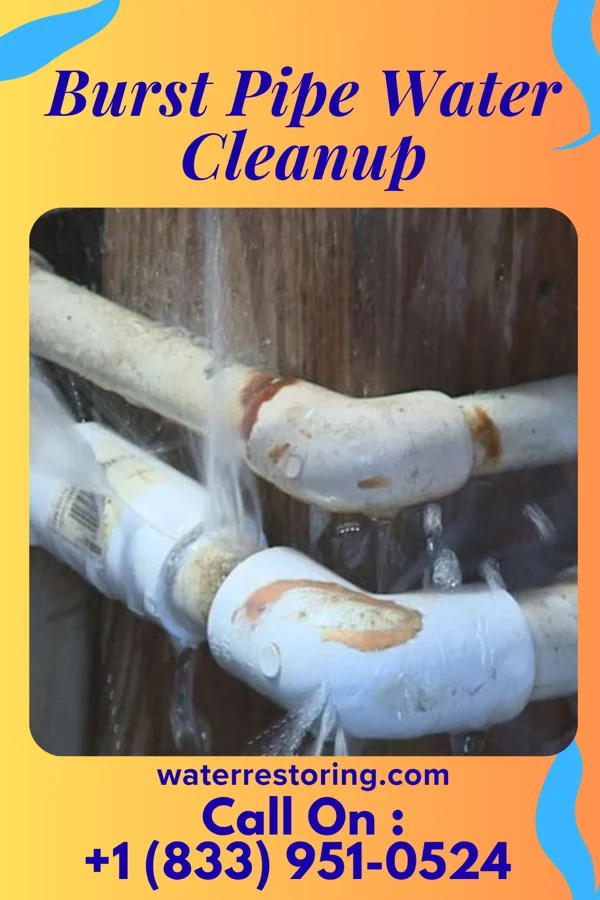 Burst Pipe Water Cleanup in Redfield, IA