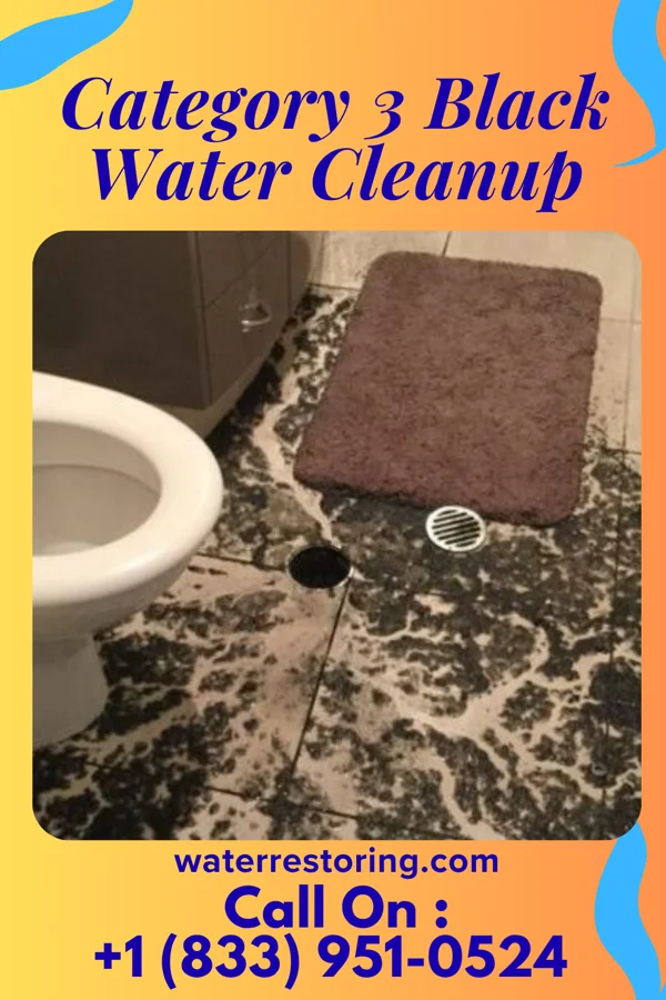 Category 3 Black Water Cleanup in Redfield, IA