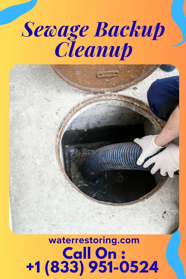 Sewage Backup Cleanup in Redfield, IA