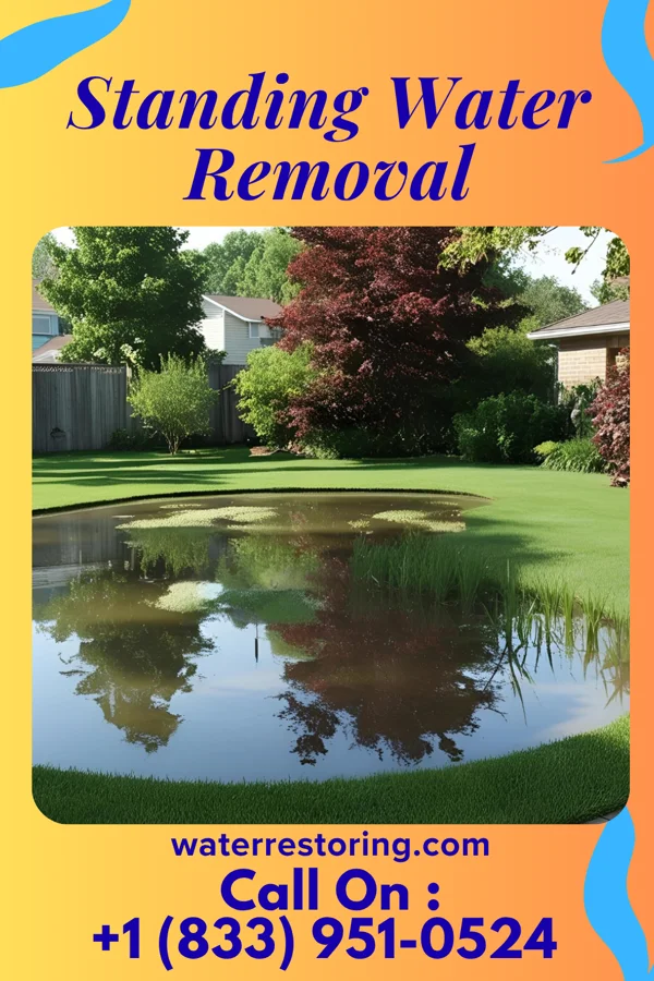 Standing Water Removal in Redfield, IA